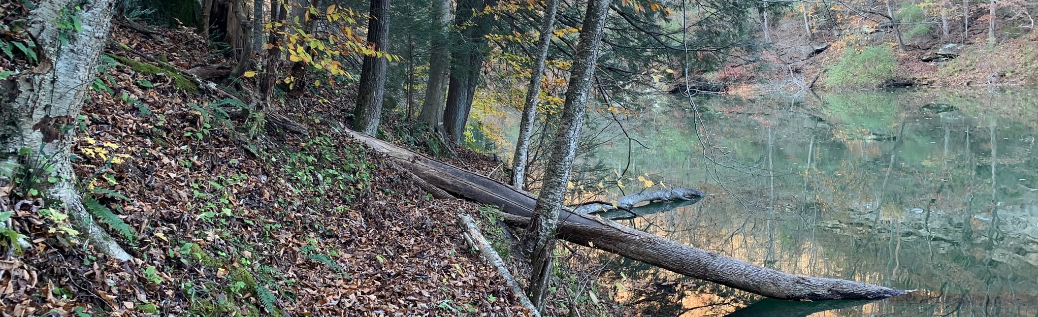 Lakeside Trail, West Virginia 2 Reviews, Map AllTrails