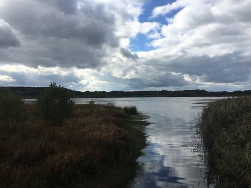 Wiedweg Etappe 1: Linden - Höchstenbach