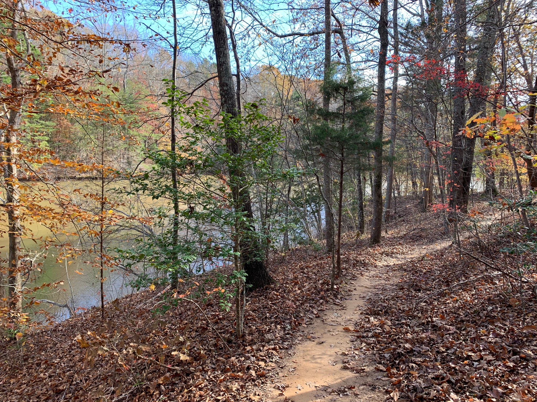 Lake norman state 2025 park mountain bike trails