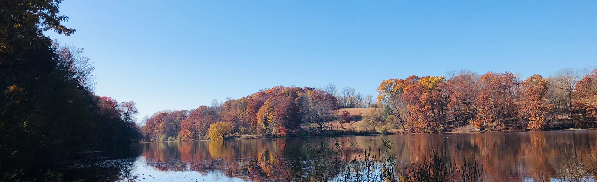 Glacial Erratic via Lucy's Loop and Brook Trail 897 foto's New York