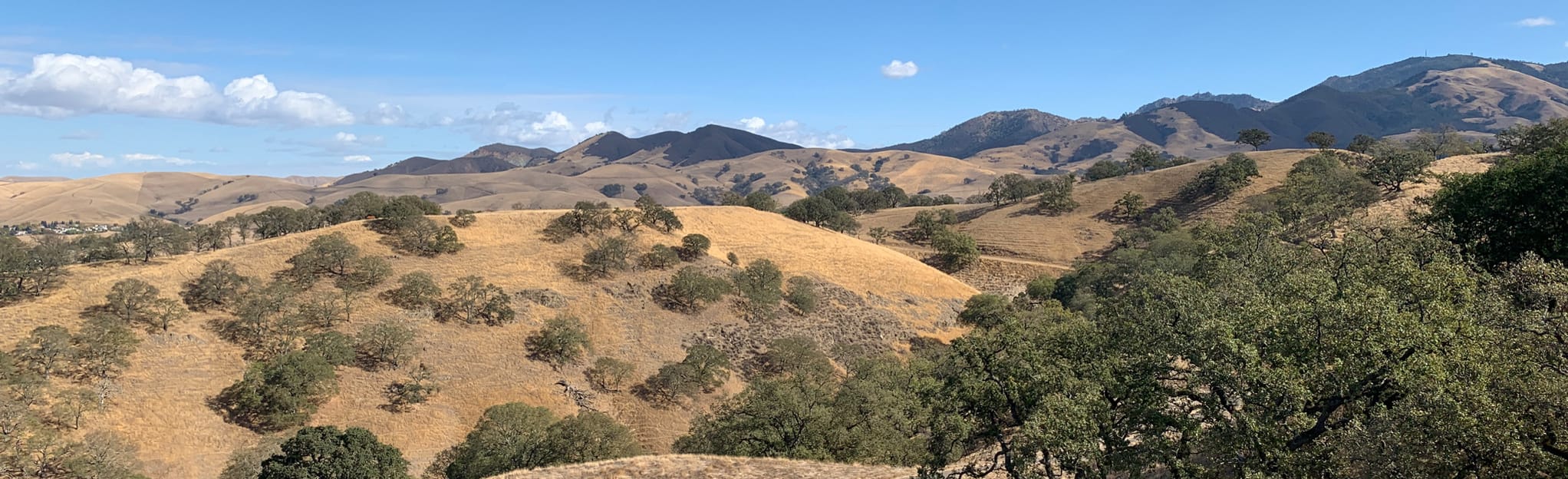 Shell Ridge: Indian Valley to Borges Ranch and Ridge Top Loop ...