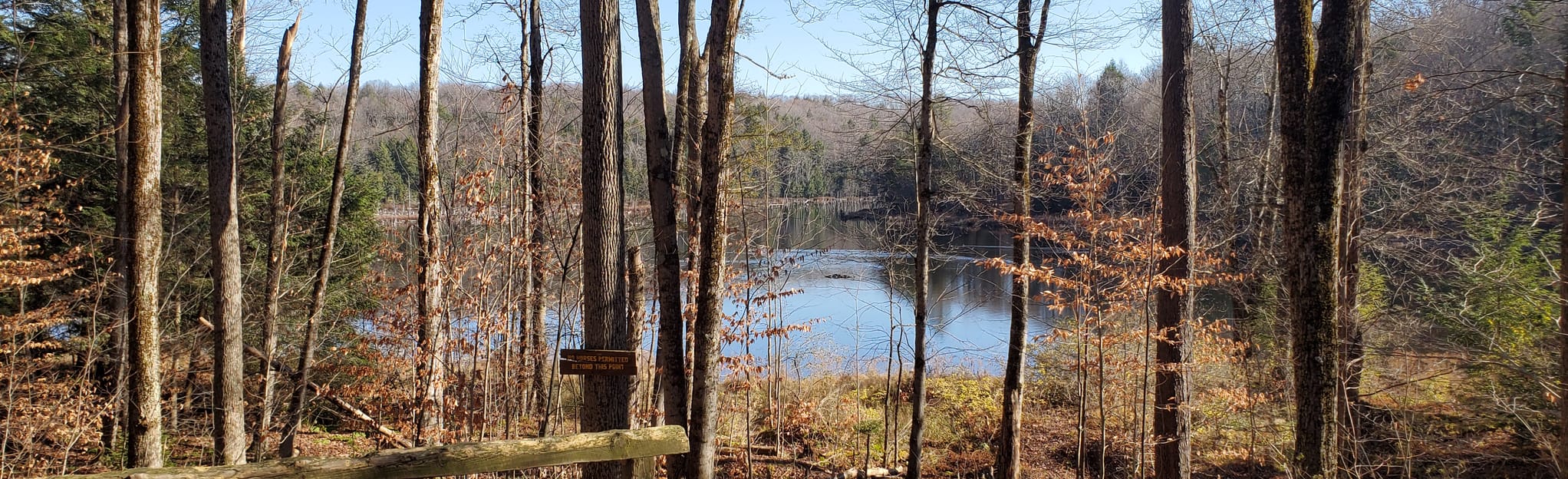 Brookfield Forest Lost Pond and Woodland Pond 14 Reviews, Map New