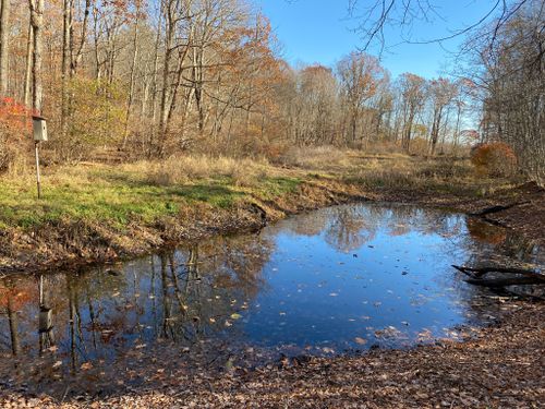 Best Hikes and Trails in Boyd Woods Audubon Sanctuary | AllTrails