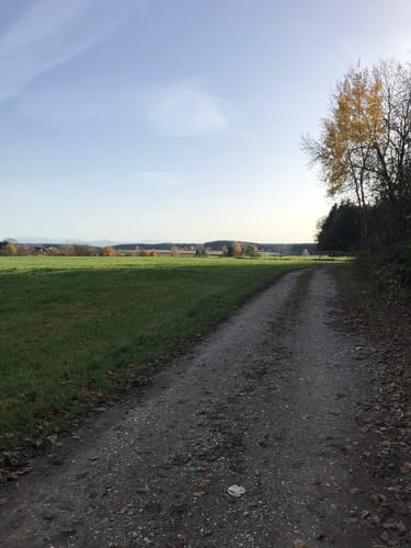Sauerlach - Holzkirchen