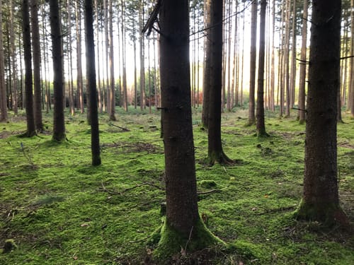 Sauerlach - Holzkirchen