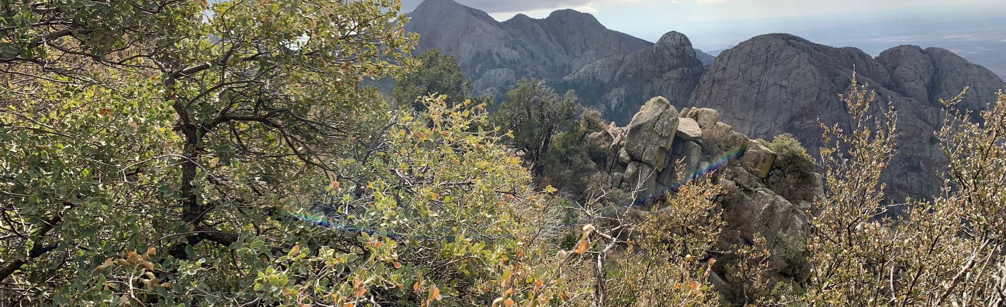 Organ Needle from Baylor Canyon Road, New Mexico 114 Reviews, Map