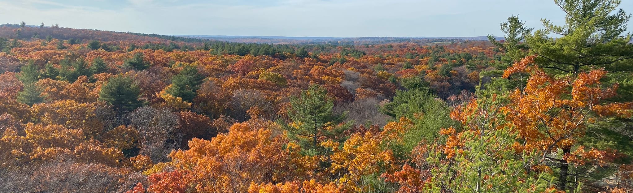 Blue Hills Skyline Trail Massachusetts - EyJidWNrZXQiOiJhc3NldHMuYWxsdHJhaWxzLmNvbSIsImtleSI6InVwbG9hZHMvcGhvdG8vaW1hZ2UvMzEyODMxMDAvZmQ0MDk5NDlhZDY0OWZhZGQ1MTI1ZWI1MDFiNzZjM2EuanBnIiwiZWRpdHMiOnsidG9Gb3JtYXQiOiJqcGVnIiwicmVzaXplIjp7IndpZHRoIjoyMDQ0LCJoZWlnaHQiOjYyNCwiZml0IjoiY292ZXIifSwicm90YXRlIjpudWxsLCJqcGVnIjp7InRyZWxsaXNRdWFudGlzYXRpb24iOnRydWUsIm92ZXJzaG9vdERlcmluZ2luZyI6dHJ1ZSwib3B0aW1pc2VTY2FucyI6dHJ1ZSwicXVhbnRpc2F0aW9uVGFibGUiOjN9fX0=