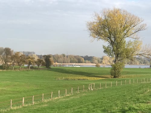 Rheinradweg (D-Route 8) Etappe 15: Xanten - Kleve