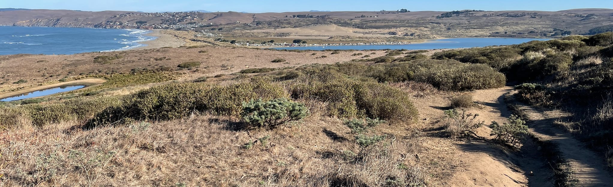 Tomales Point Trail 5578 Reviews, Map California AllTrails
