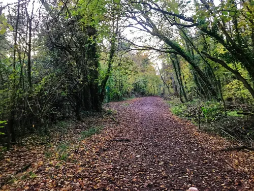 10 Best Trails, Walks, And Paths In Swindon | AllTrails