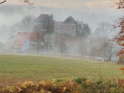 Waldspaziergang bei Schloss Ludwigseck