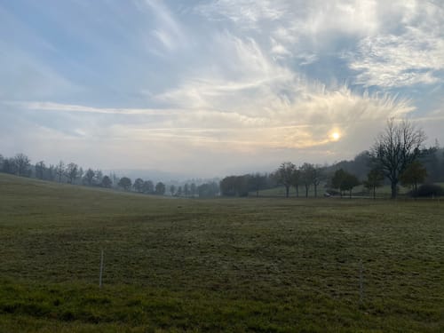 Waldspaziergang bei Schloss Ludwigseck