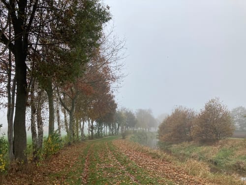 Wardenburger Wanderweg Nr. 3: Durch das Lethetal