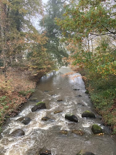 Wardenburger Wanderweg Nr. 3: Durch das Lethetal