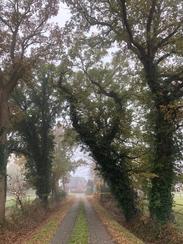 Wardenburger Wanderweg Nr. 3: Durch das Lethetal