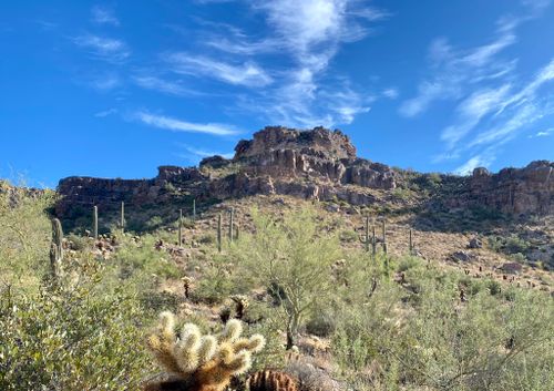 Best Hikes and Trails in Superstition Area Land Trust | AllTrails