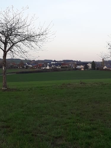 Naturpark Südeifel Nr. 2 Reipeldingen - Dahnen