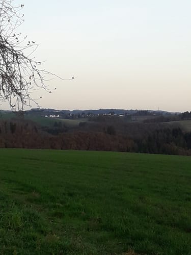 Naturpark Südeifel Nr. 2 Reipeldingen - Dahnen