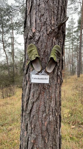 Boyneburg P13 (Premiumwanderweg)