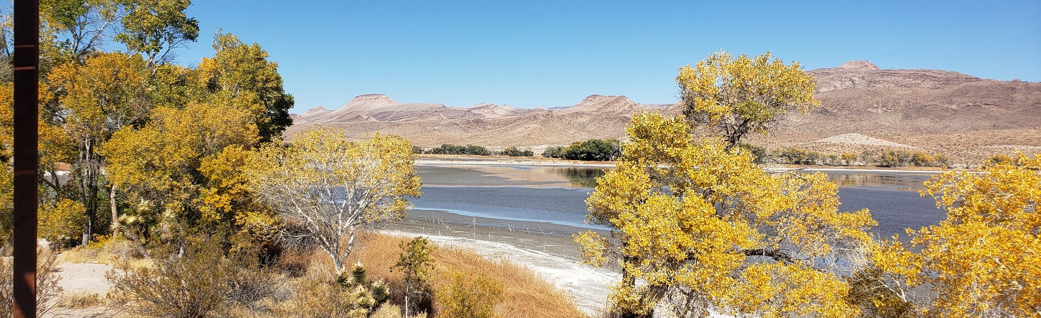 alltrails-upper-pahranagat-lake-loop-65-reviews-map-nevada