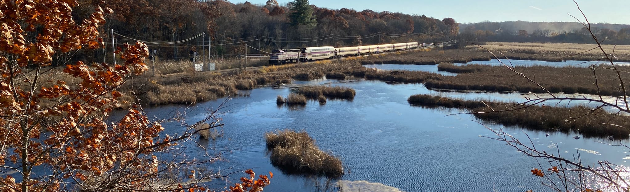 Salem Woods Loop, Massachusetts 700 Reviews, Map AllTrails