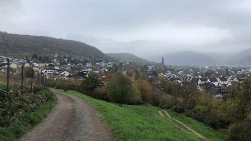 Rundweg Arienheller - Hartmannshof