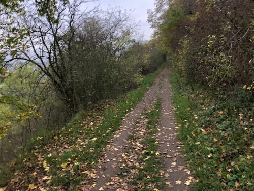 Rundweg Arienheller - Hartmannshof