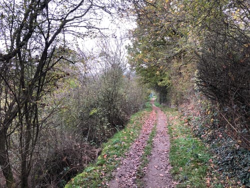 Rundweg Arienheller - Hartmannshof