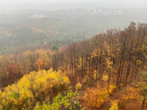 König-Albrecht-Wanderweg