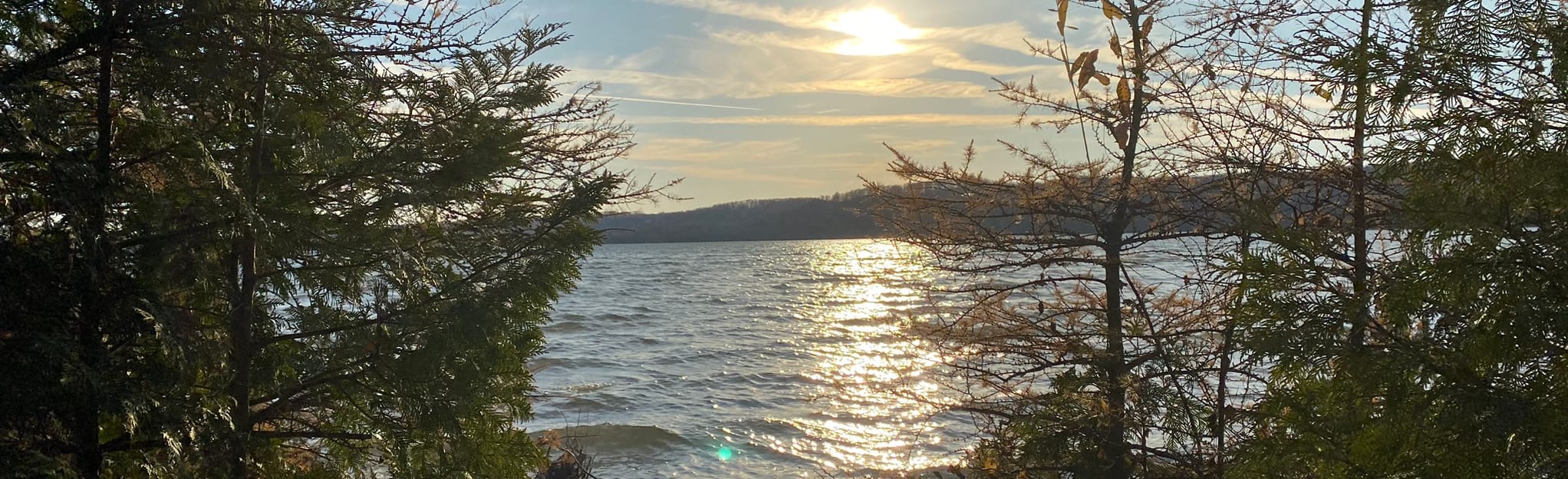 Lime Lake Boardwalk 41 Reviews, Map Michigan AllTrails