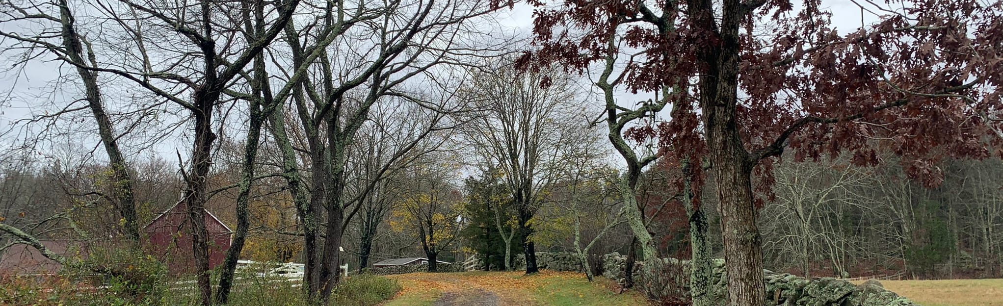 Avery Farm Nature Preserve and Candlewood Ridge, Connecticut 282