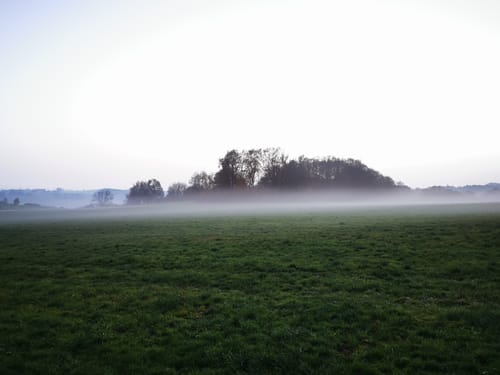 Im Hagsbuch bei Suppingen