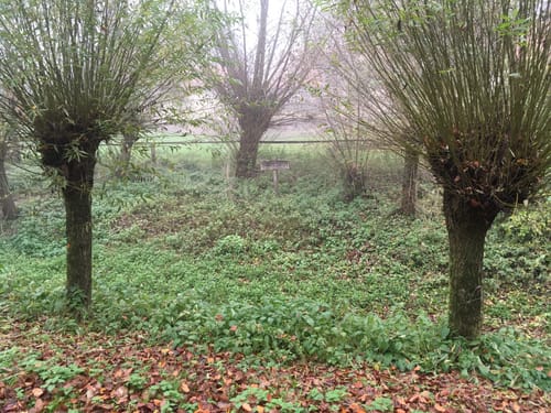 Rundweg Darfeld D2