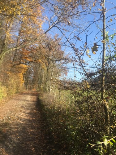Um Küssaberg-Kadelburg