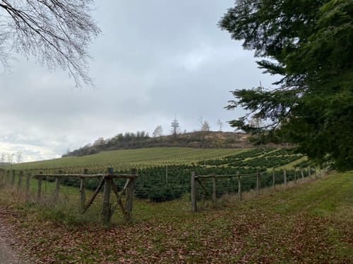 Von Bödexen auf den Köterberg