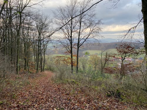 Von Bödexen auf den Köterberg