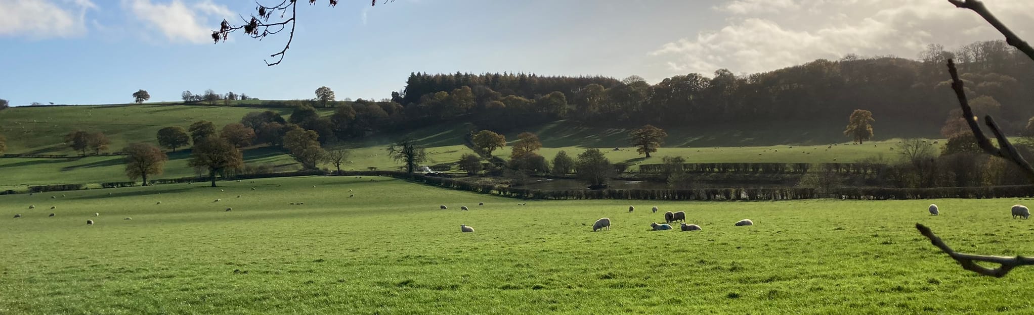 Easthope Circular, Shropshire, England 6 Reviews, Map AllTrails