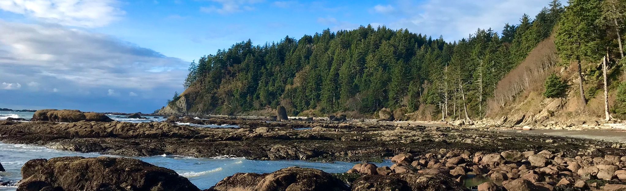 Rialto Beach Trail, Washington - 261 Reviews, Map | AllTrails