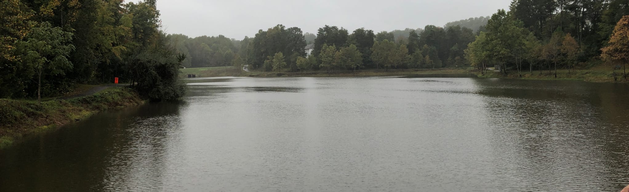 Powell's Creek Pond Loop: 67 Reviews, Map - Virginia | AllTrails