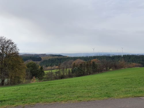 Hoftour bei Freisen