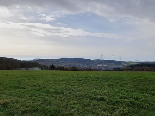 Hoftour bei Freisen