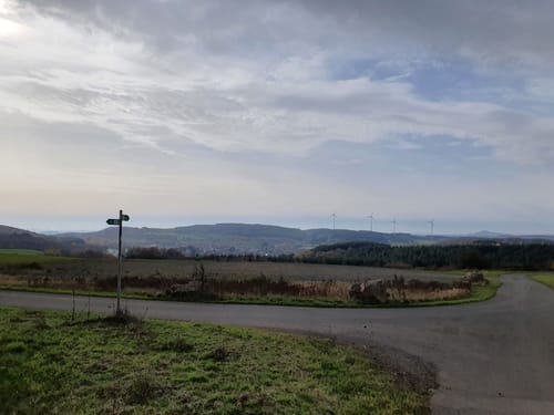 Hoftour bei Freisen