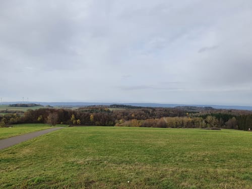 Hoftour bei Freisen