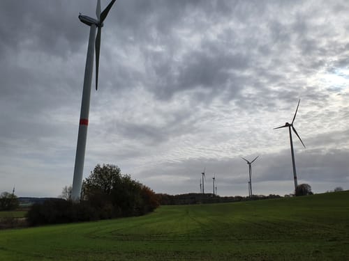 Hoftour bei Freisen