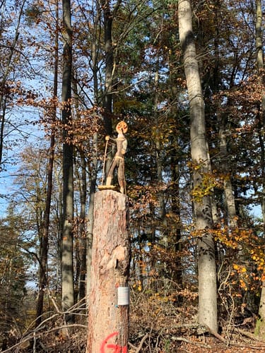 Winnweiler, Kahlheckerhof und Ingelbornerhöhe