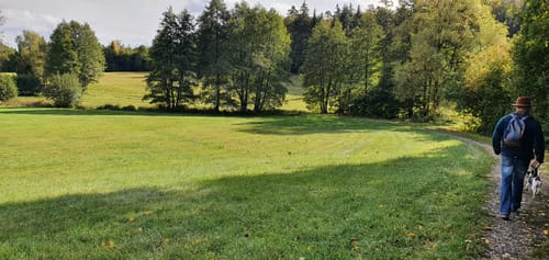 Walderlebnisweg Oehrbachtal