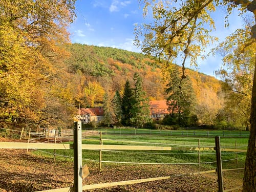 Durch das Hainbachtal zur Ruine Neuscharfeneck