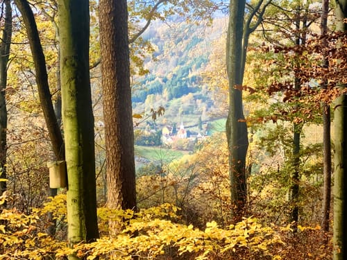 Durch das Hainbachtal zur Ruine Neuscharfeneck