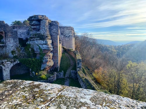 Durch das Hainbachtal zur Ruine Neuscharfeneck