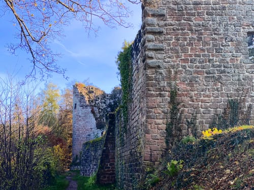 Durch das Hainbachtal zur Ruine Neuscharfeneck
